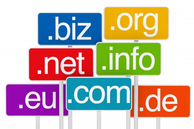 Web development company in Thane - Digikraf -  The Step-by-Step Guide to Selecting the Right Domain Name and Building an Online Presence for Your Business